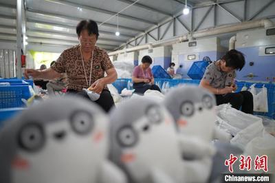 河北内丘:&ldquo;小玩具&rdquo;做成富民&ldquo;大产业&rdquo;